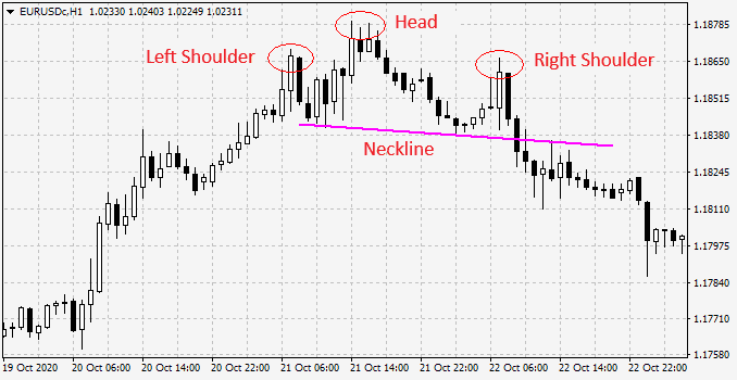 The head and shoulders